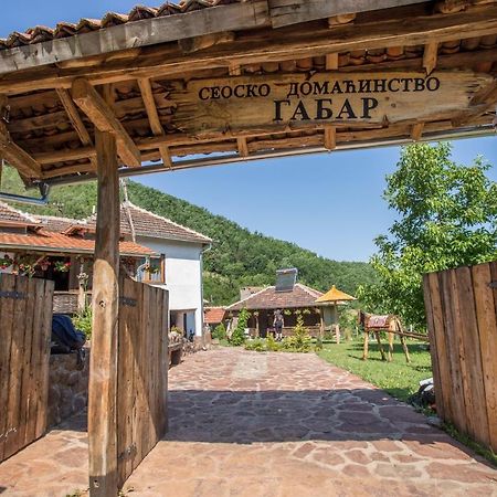 Вилла Seosko Domacinstvo „Gabar” Custica Экстерьер фото
