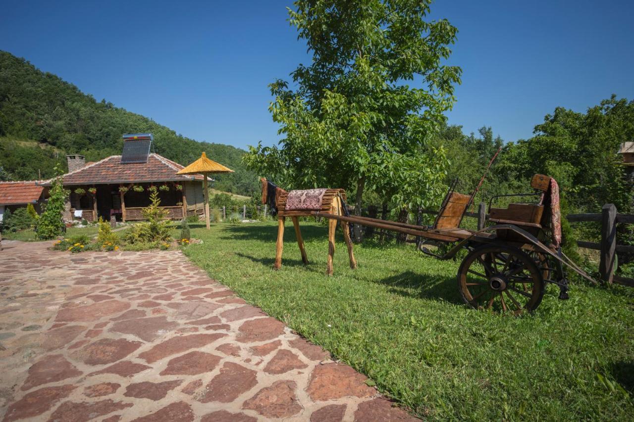 Вилла Seosko Domacinstvo „Gabar” Custica Экстерьер фото