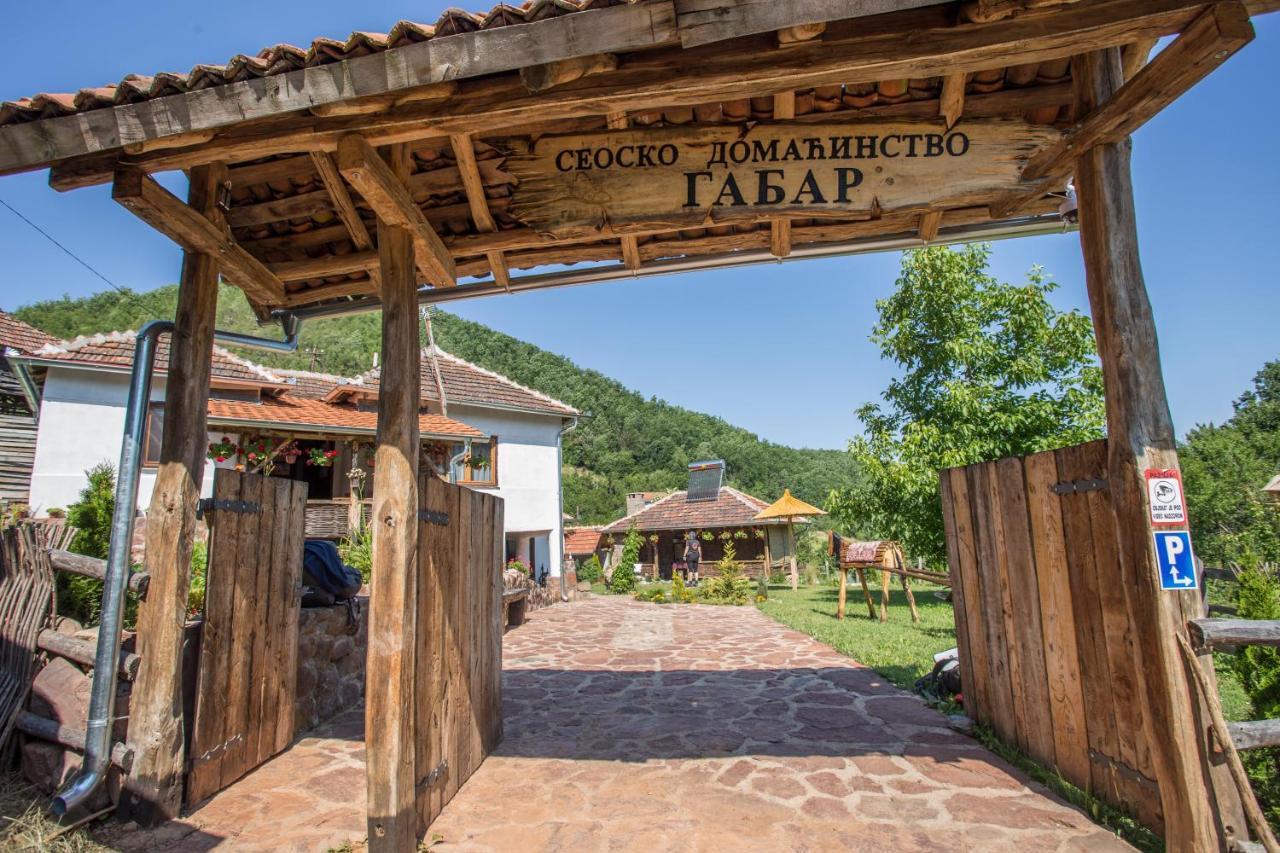 Вилла Seosko Domacinstvo „Gabar” Custica Экстерьер фото